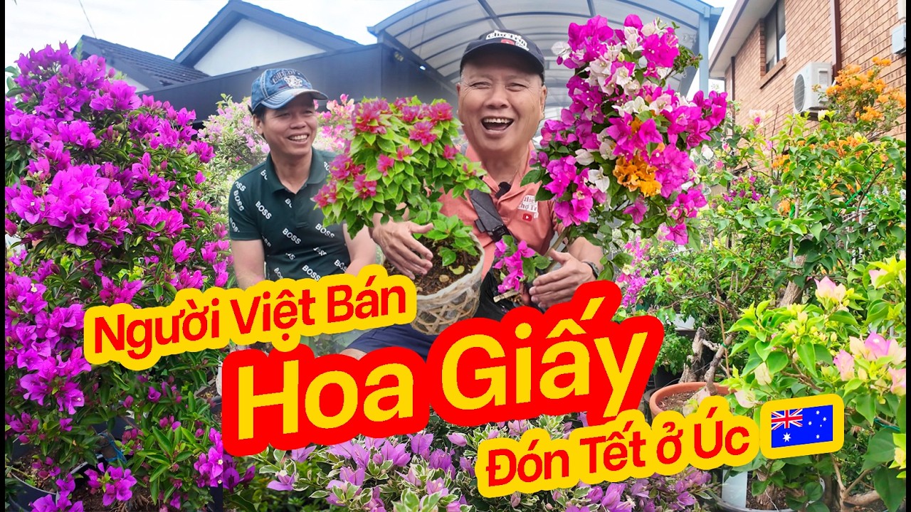 Làm Nghề Ghép & Bán Hoa Giấy ở Chợ Trời Úc | Chuẩn Bị Đón Tết ở Úc