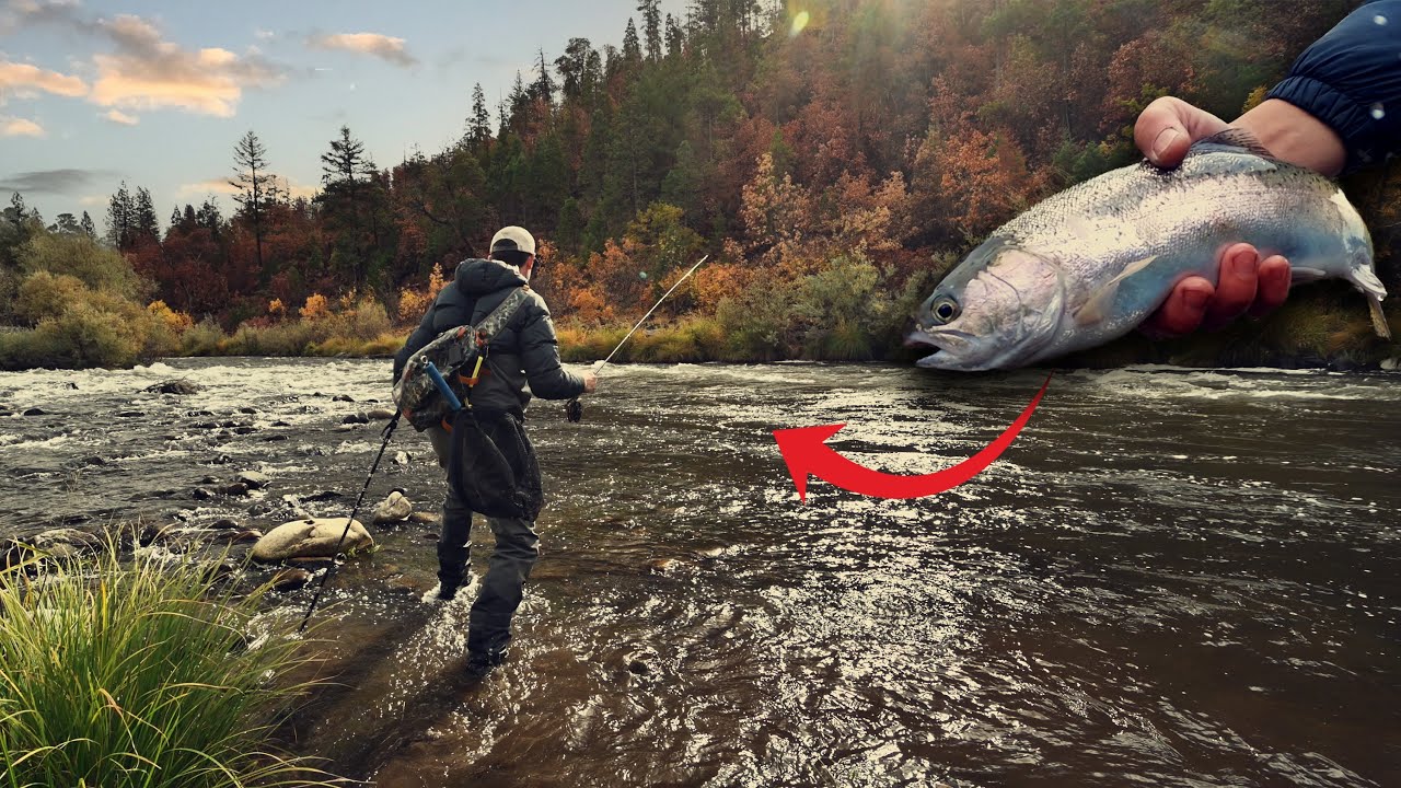 Targeting steelhead on a new river // Fly Fishing the Klamath