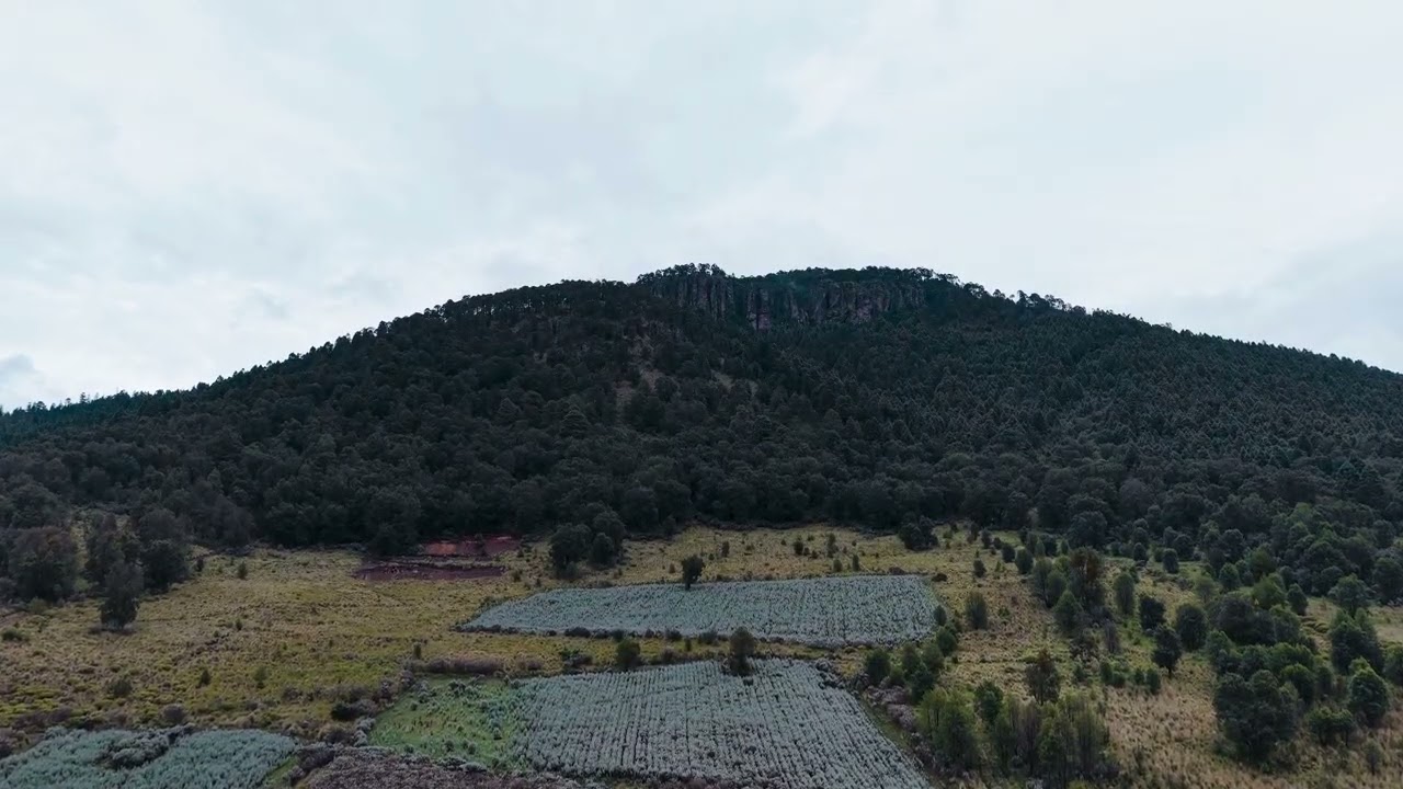 Explorando las orillas del cerro Catedral, en Temoaya, estado de México #nature #travel 