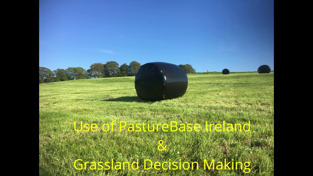 Grass10 Calf to Beef Takeover 13th May @TeagascGrass10