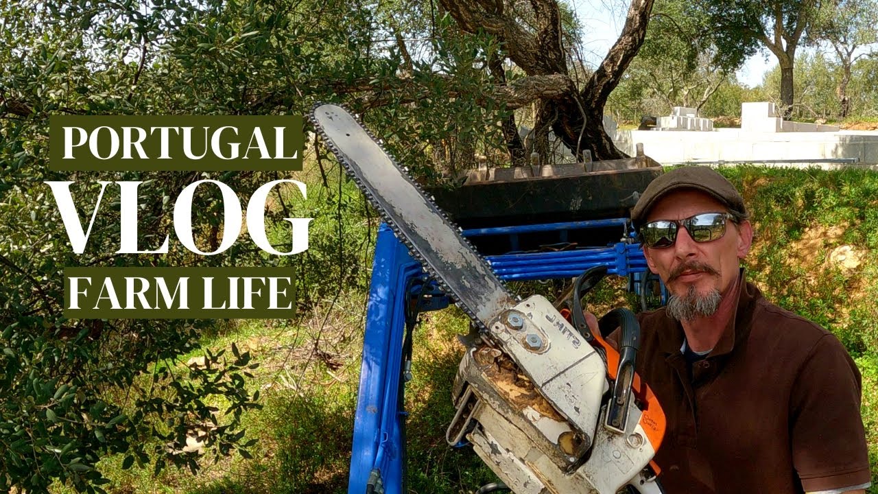 FARM TOUR - Cut this, Clean that, Break this, Fix that.. A week at Quinta Fonte da Pipa #farmlife