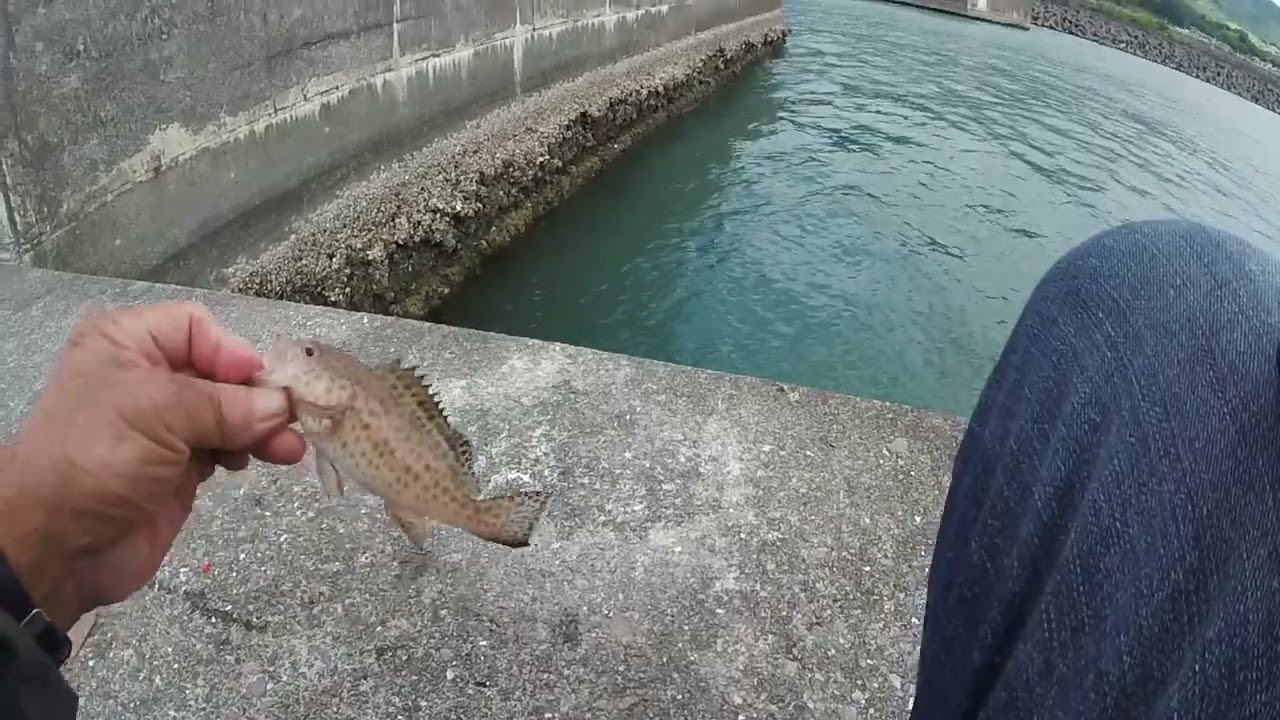 際釣り　2025　6月下旬