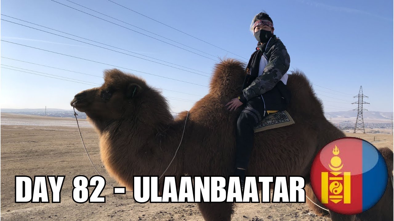Насколько безопасно путешествовать по Монголии? 🇲🇳 - День 82