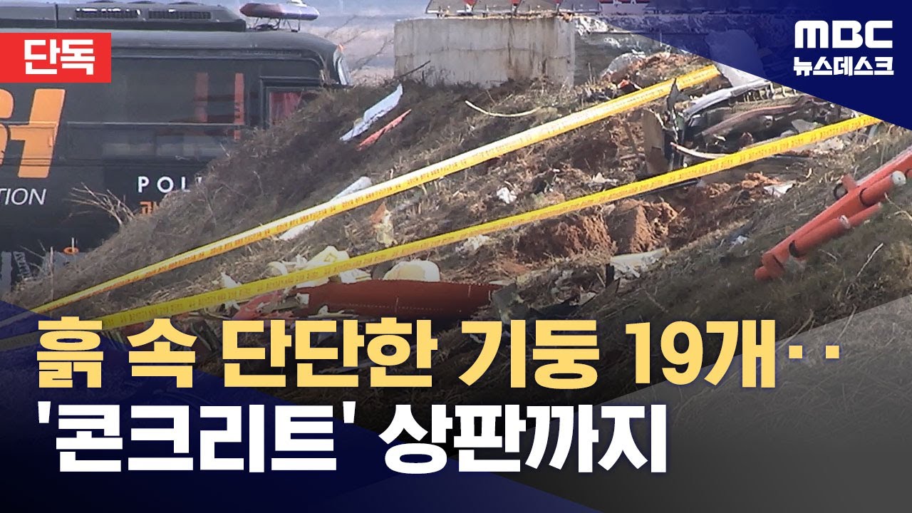 [단독] 