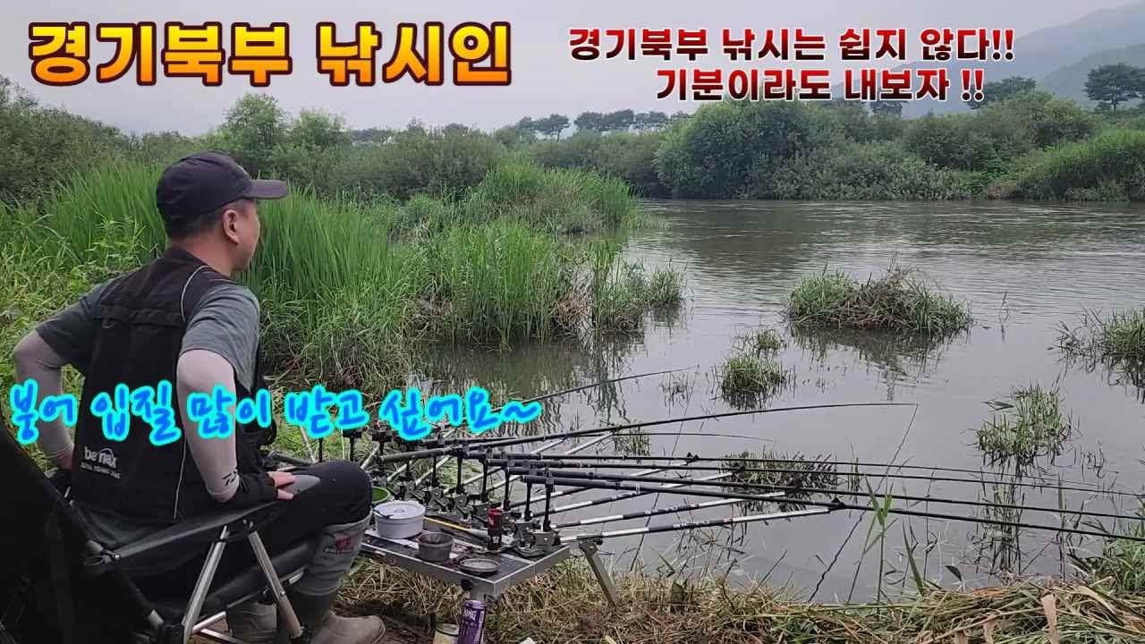 경기북부낚시인 #붕어낚시 #강낚시 #철원 화강 #뱀조심