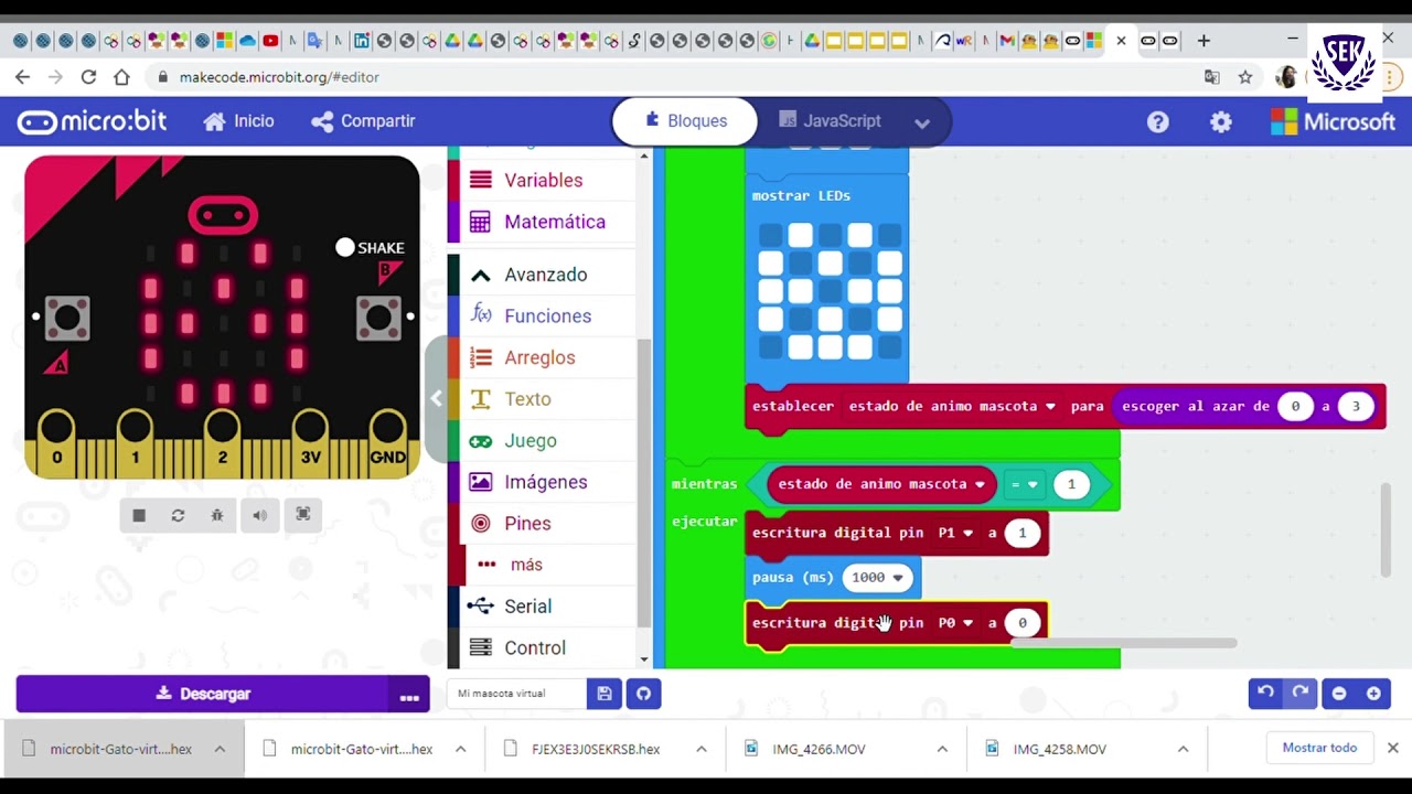 Microbit- Cómo programar tu mascota virtual.