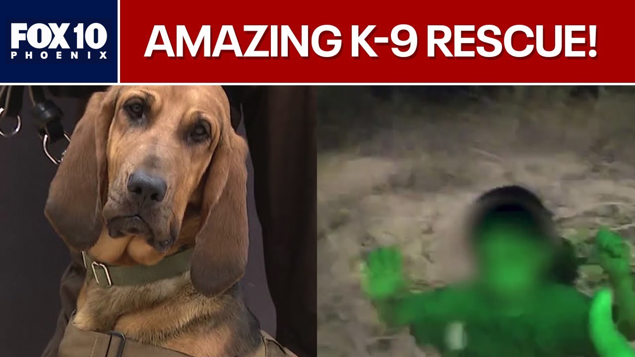 K-9 Piper finds missing boy in Arizona desert | FOX 10 Phoenix