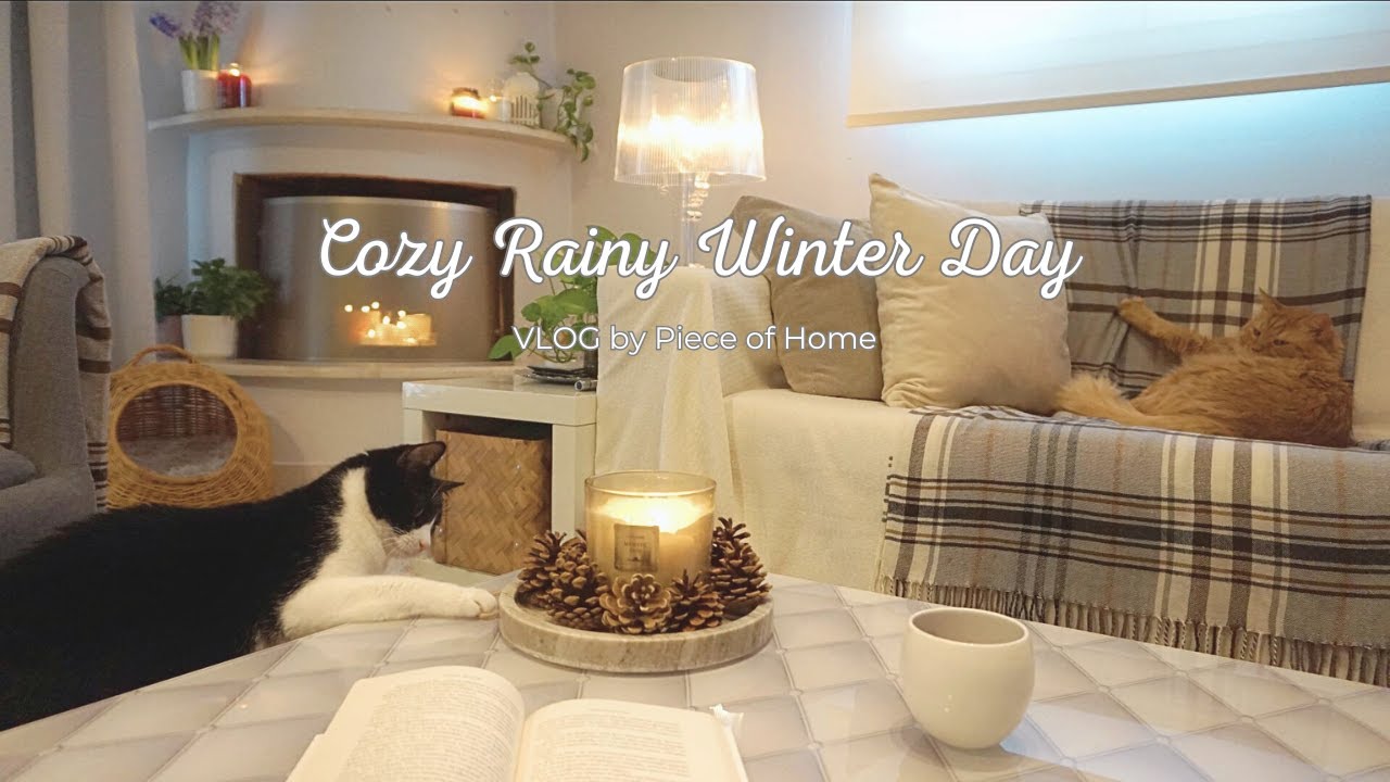 A Cozy Rainy Winter Day at Home | Greek Chicken Soup, Blueberry Cake | Relaxing with Cats