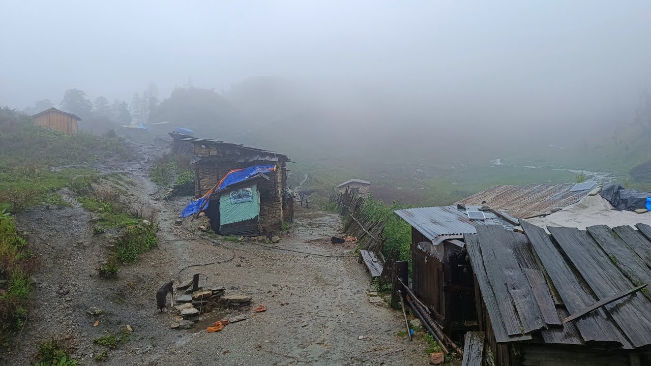 The Best Naturally Himalayan Village Life During the Rain | Beautiful Nature Into Documentary Video 