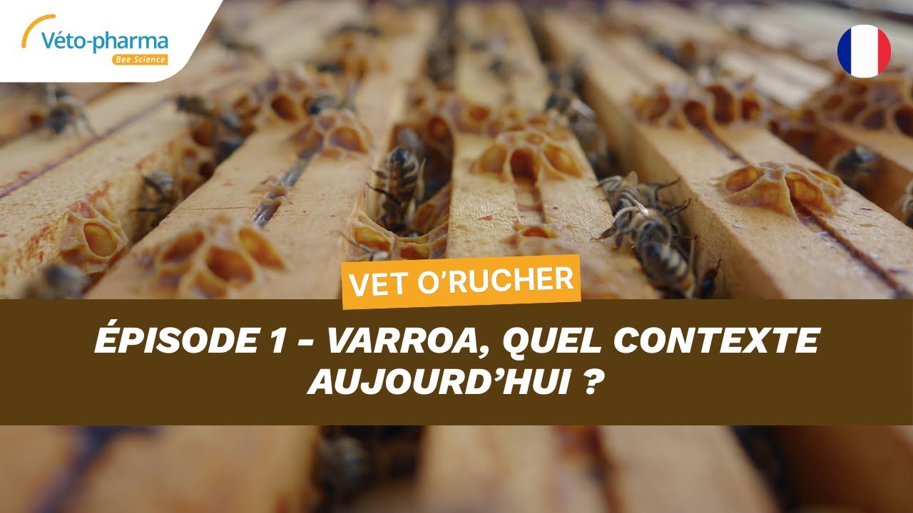 Vet O’Rucher  - Épisode 1 : Varroa, quel contexte aujourd’hui ?