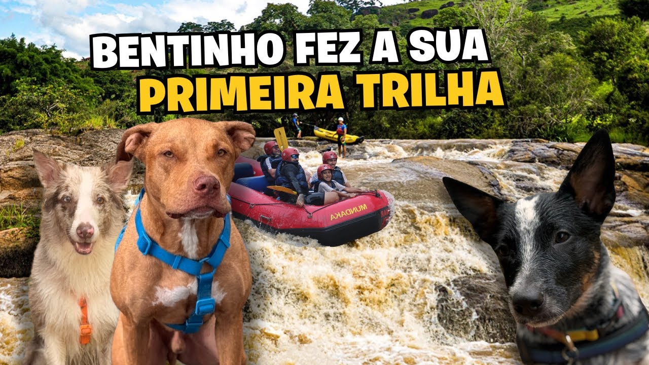 24 Horas Com A Gente | O Bento Fez A Sua Primeira Trilha