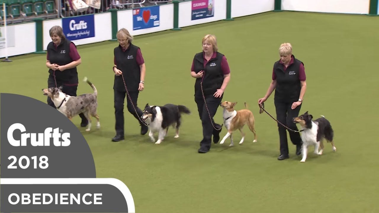 Obreedience - Smooth Operators | Crufts 2018