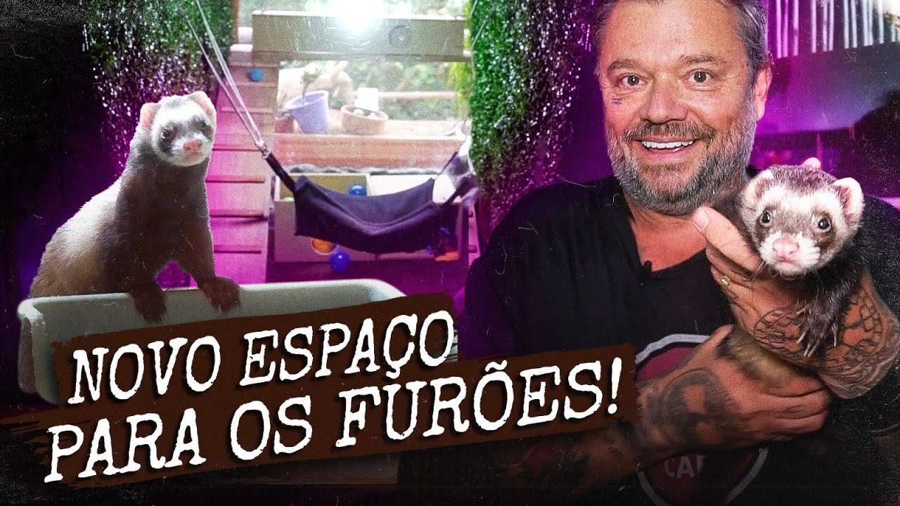 ATUALIZAÇÃO DA REFORMA: A NOVA CASA DO FURÃO! | A CASA DOS BICHOS