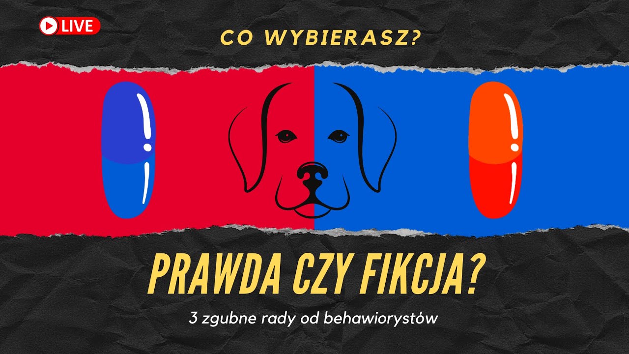 Poznaj trzy zgubne rady dawane przez behawiorystów