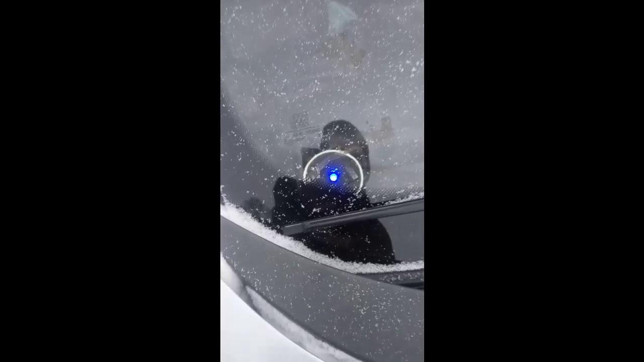 постоянно горит светодиод сигнализации на лобовом стекле