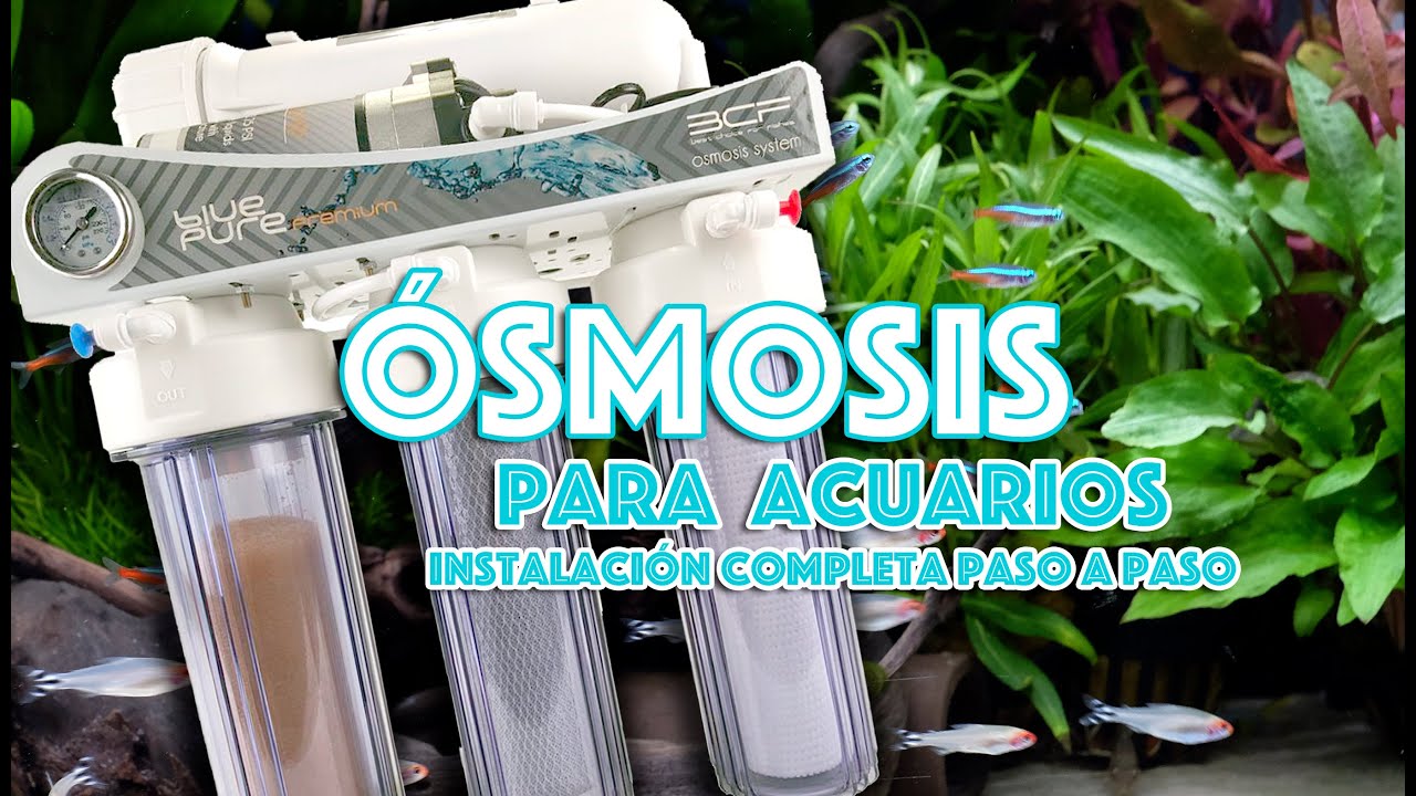 Ósmosis para acuarios - instalación paso paso equipo 4 etapas Blue Pure BCF con bomba de presión