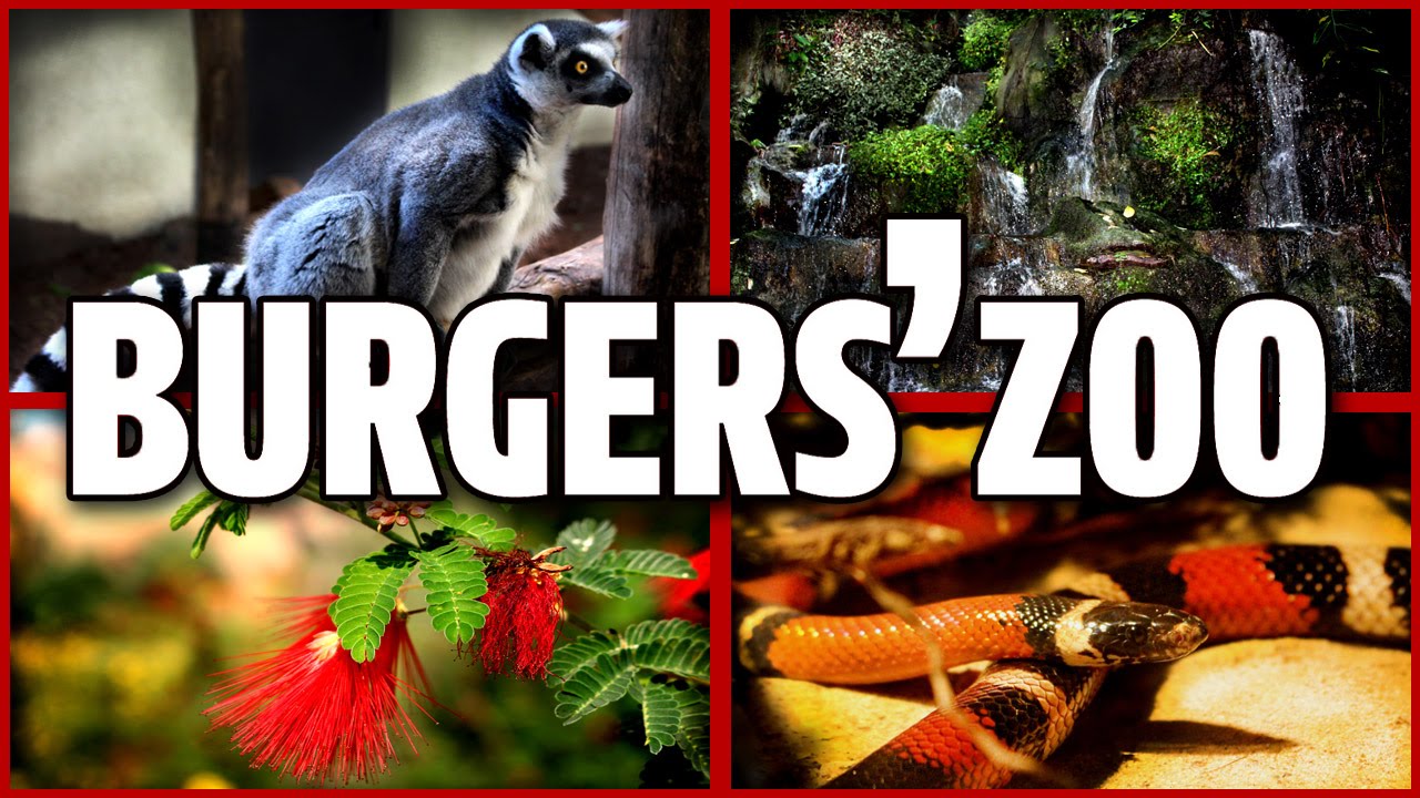 Besuch im Burgers Zoo 2015