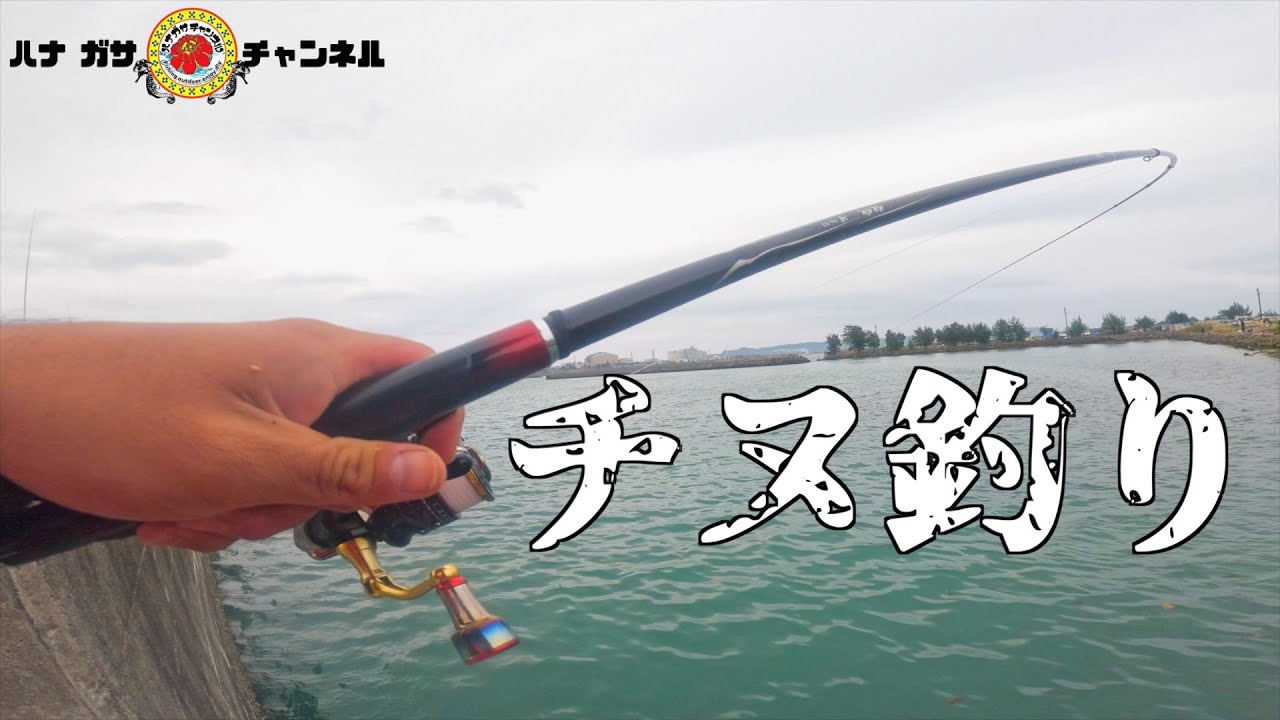 Vol.47【単独釣行 編】中部の漁港でチヌ調査してきました！【チヌ釣り】