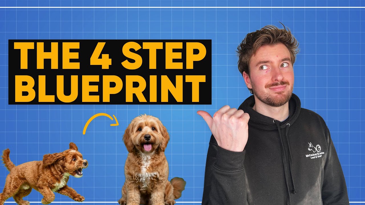 FIX Your Cockapoo In 4 Easy Steps