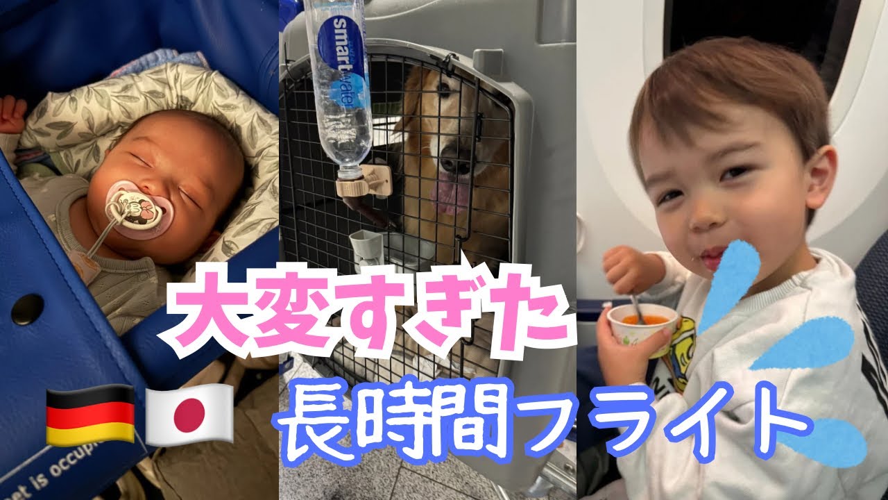 【赤ちゃんと2歳児と愛犬とのフライト】東京からドイツの長旅| 20HR + Trip with One Dog, 2 Children, and 7 Suitcases