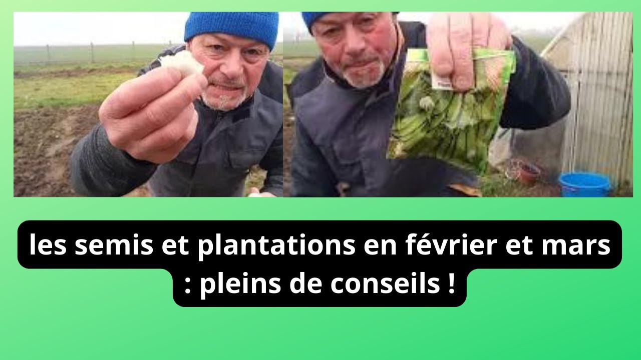 Les semis et plantations de février mars au potager , plein de conseils utiles