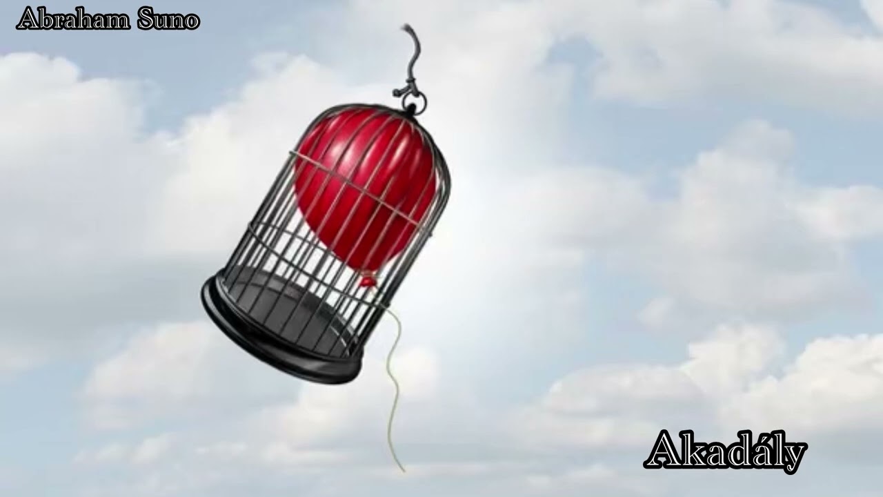 Abraham Suno - Akad&aacute;ly