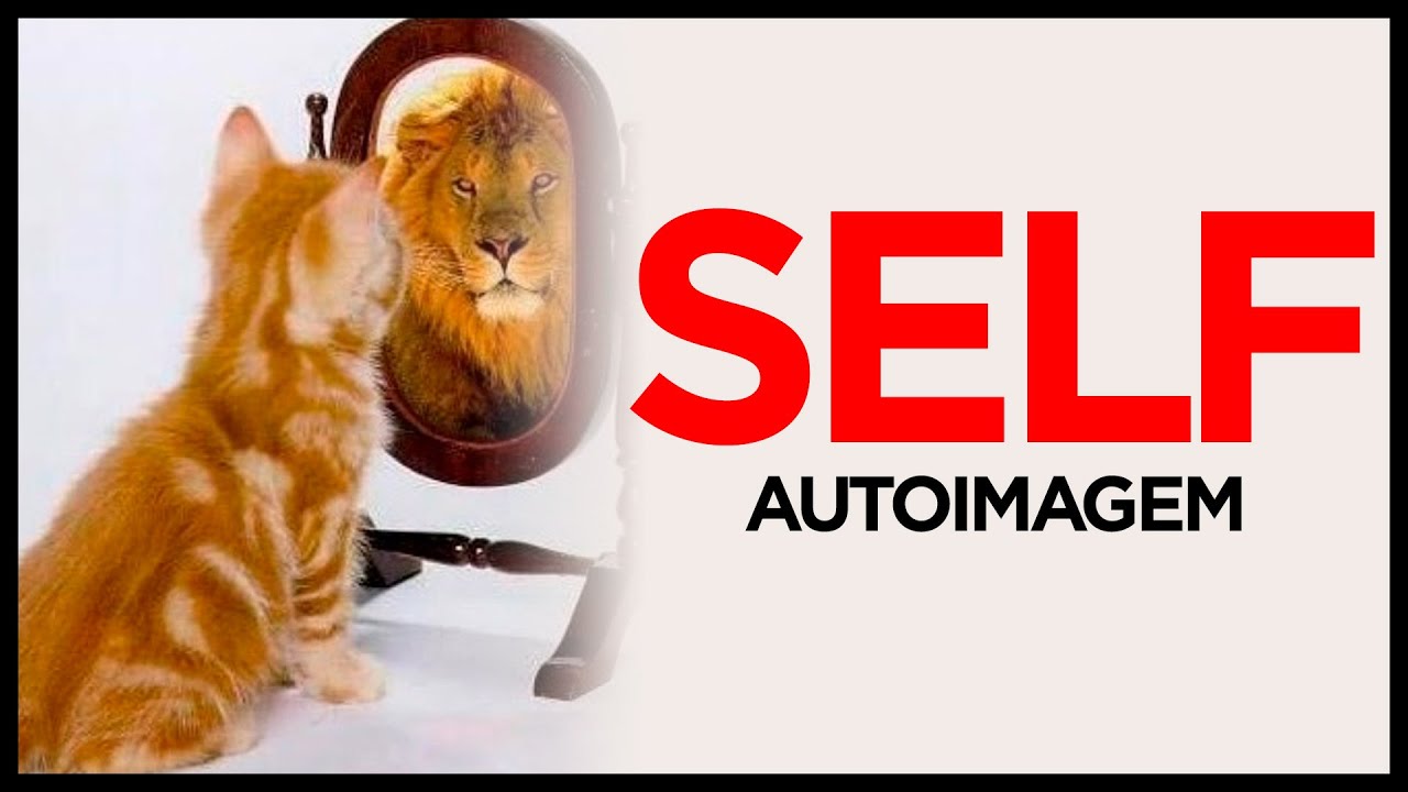 PSICOCIBERN&Eacute;TICA: COMO SUA AUTOIMAGEM E SELF EST&Aacute; CRIANDO SUA VIDA!