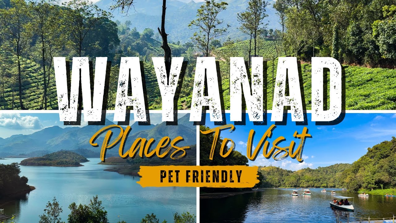 Wayanad Travel Vlog | Wayanad Places to Visit With Pets | Wayanad Tourist Places | Wayanad Episode 3