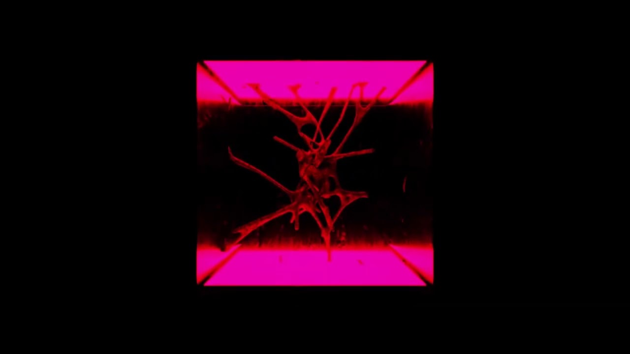 SCALER - FLASHFORWARD (Squid Remix)