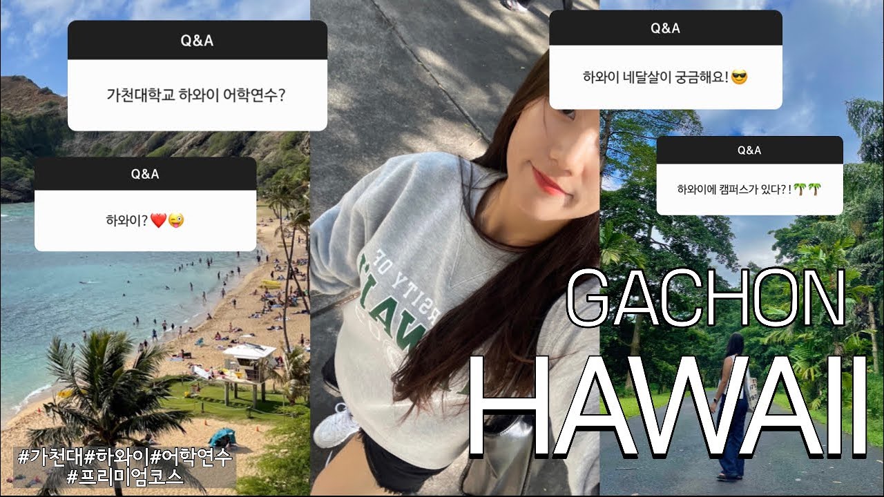 [23-1학기 Gachon Got Globalized 장려] 포니(정승아) - 🌴가천 하와이 캠퍼스🌴파헤쳐보기_하와이대학교🐢/어학연수/가천대/와이키키/하이킹/바다💙