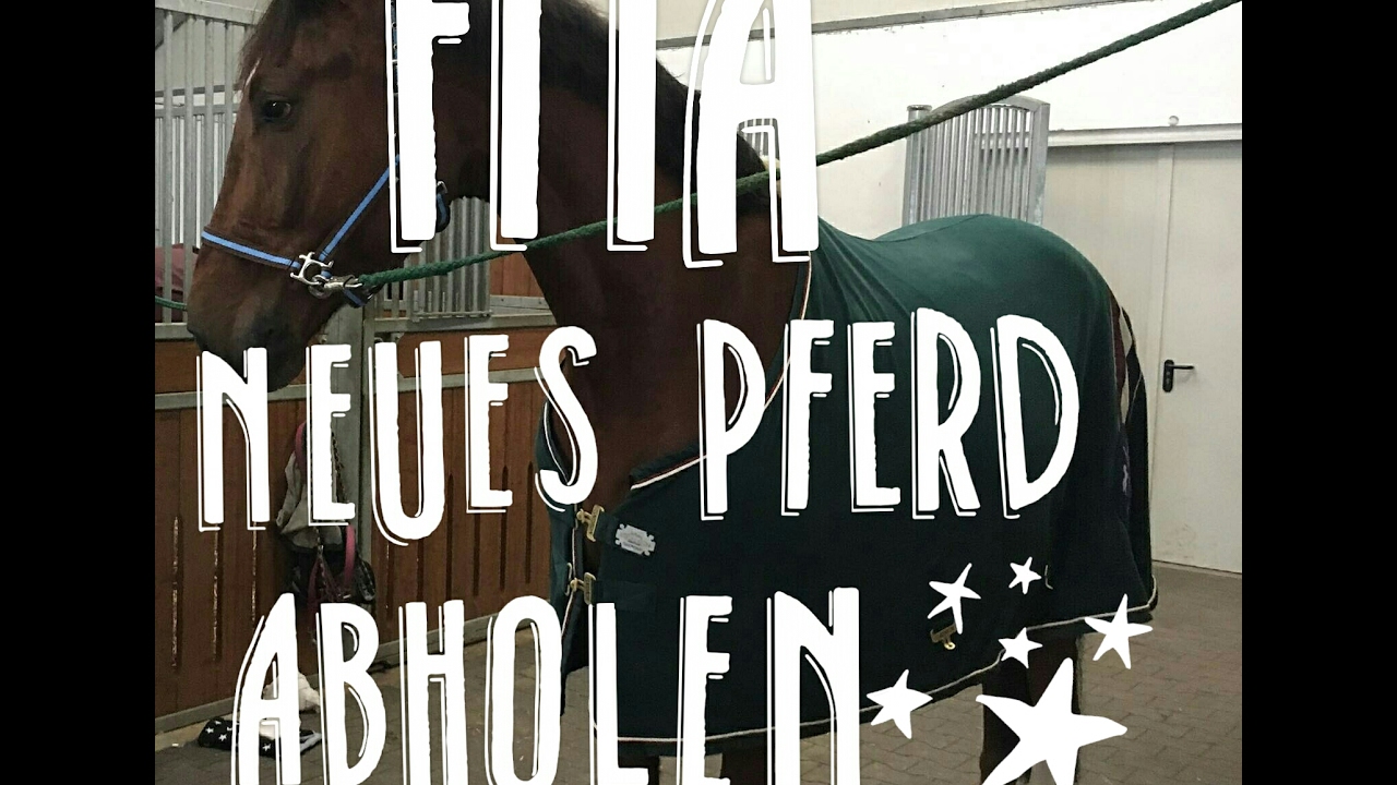 [FMA]Neues Pferd kommt an | Wir holen mein neues Pferd | Baron kommt an | Lucky merle