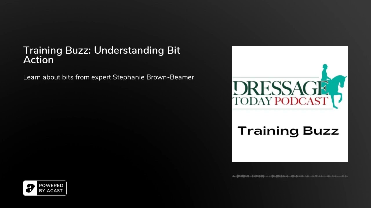 Training Buzz: Understanding Bit Action