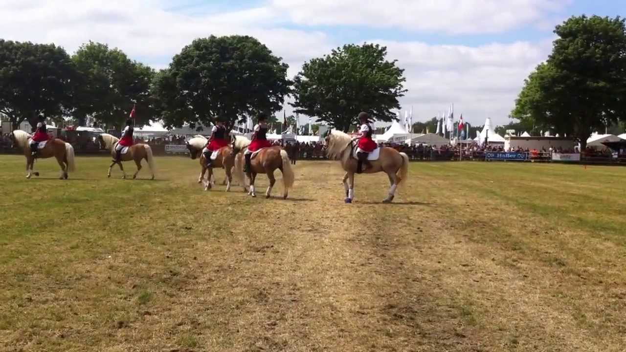 Roskilde dyrskue