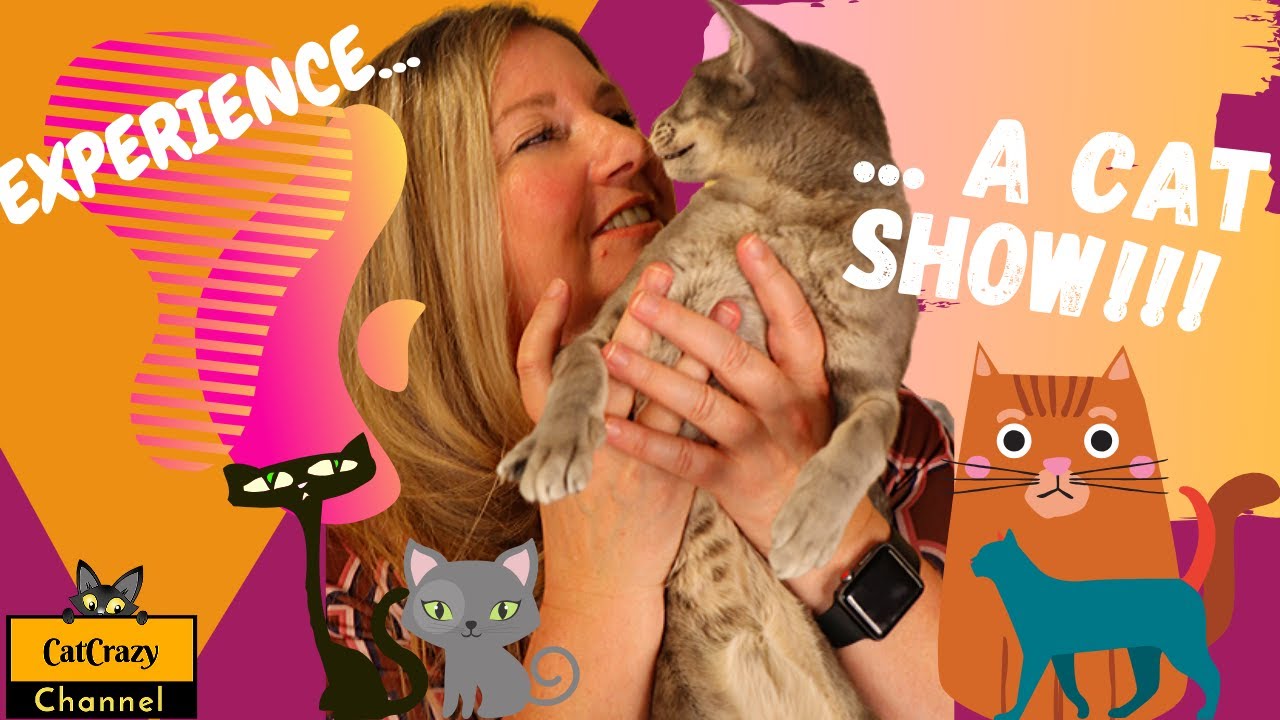 😻 CatCrazy: Fun at a cat show! Watch and join me...