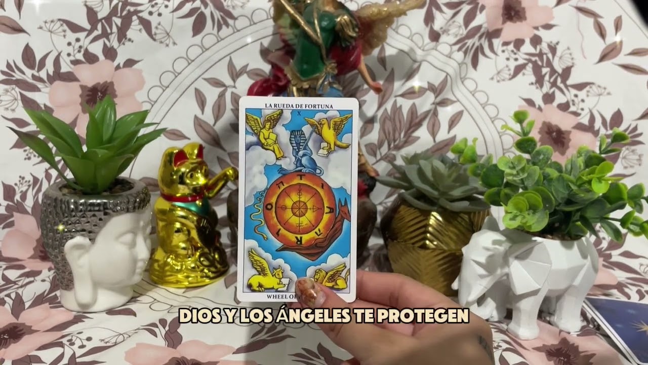 EL BRUJO LAS TRAICIONA PARA DEFENDERTE 😡‼️ #tarot