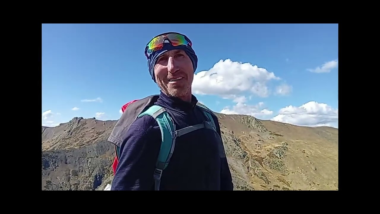 PICO INTERNAUTA O COTOREDONDO