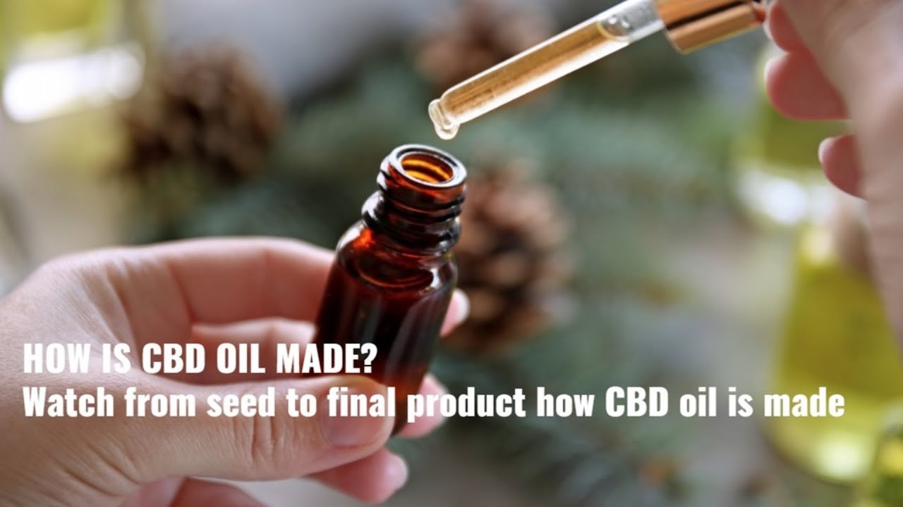 Learn how CBD oil is made from cannabis and hemp