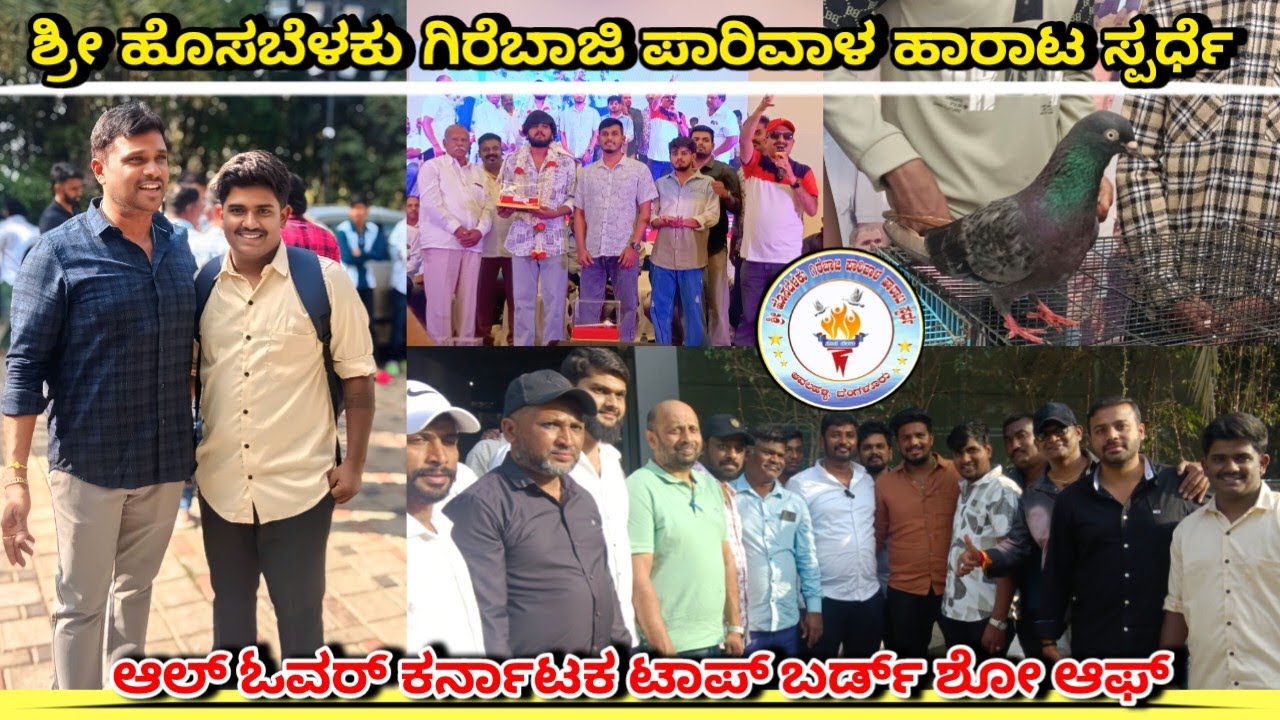 💥ಶ್ರೀ ಹೊಸಬೆಳಕು ಗಿರೆಬಾಜಿ ಪಾರಿವಾಳ ಹಾರಾಟ ಸ್ಪರ್ಧೆ/🕊️ಆಲ್ ಓವರ್ ಕರ್ನಾಟಕ ಬರ್ಡ್ಸ್ ಆಫ್ 🔥