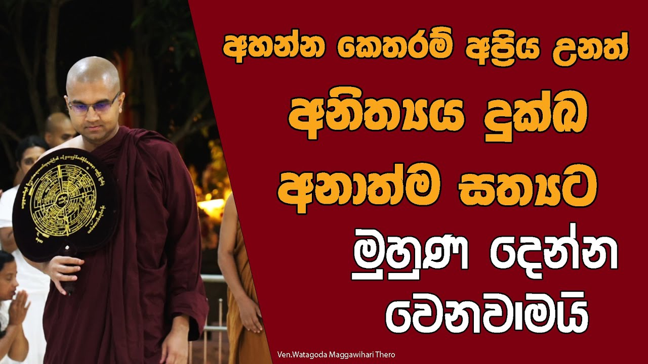 නිතර නිතර සත්‍ය ශ්‍රවණය කරනකොට ඔබ තුල ඇති වන වෙනස l Theravada Buddhism