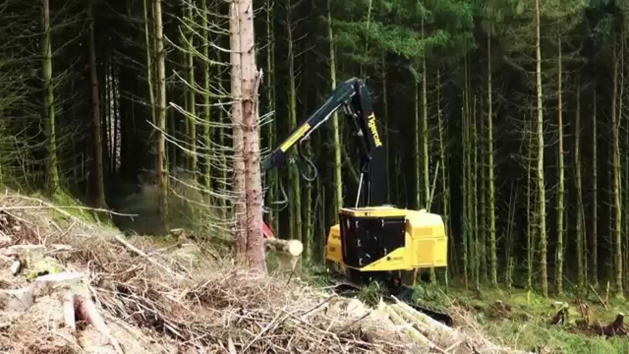 Harvester Tigercat LH845D