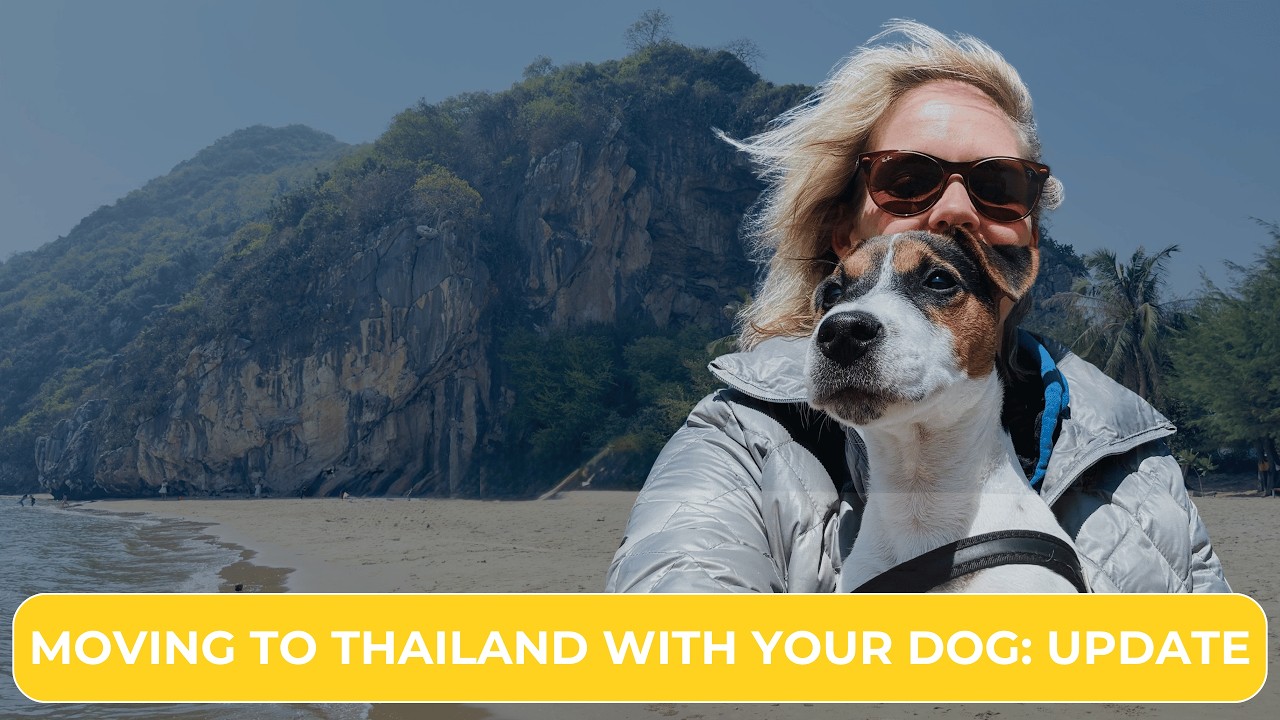 Moving to Thailand with your dog.Ultimate Preperation Checklist. UPDATE
