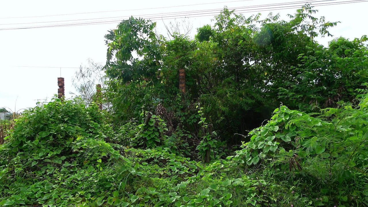 Странные исчезновения и загадочные слухи в заброшенном доме уже более 20 лет.