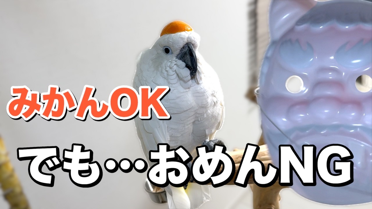 ゆきまる氏、みかんの皮は無反応…でもお面で豹変