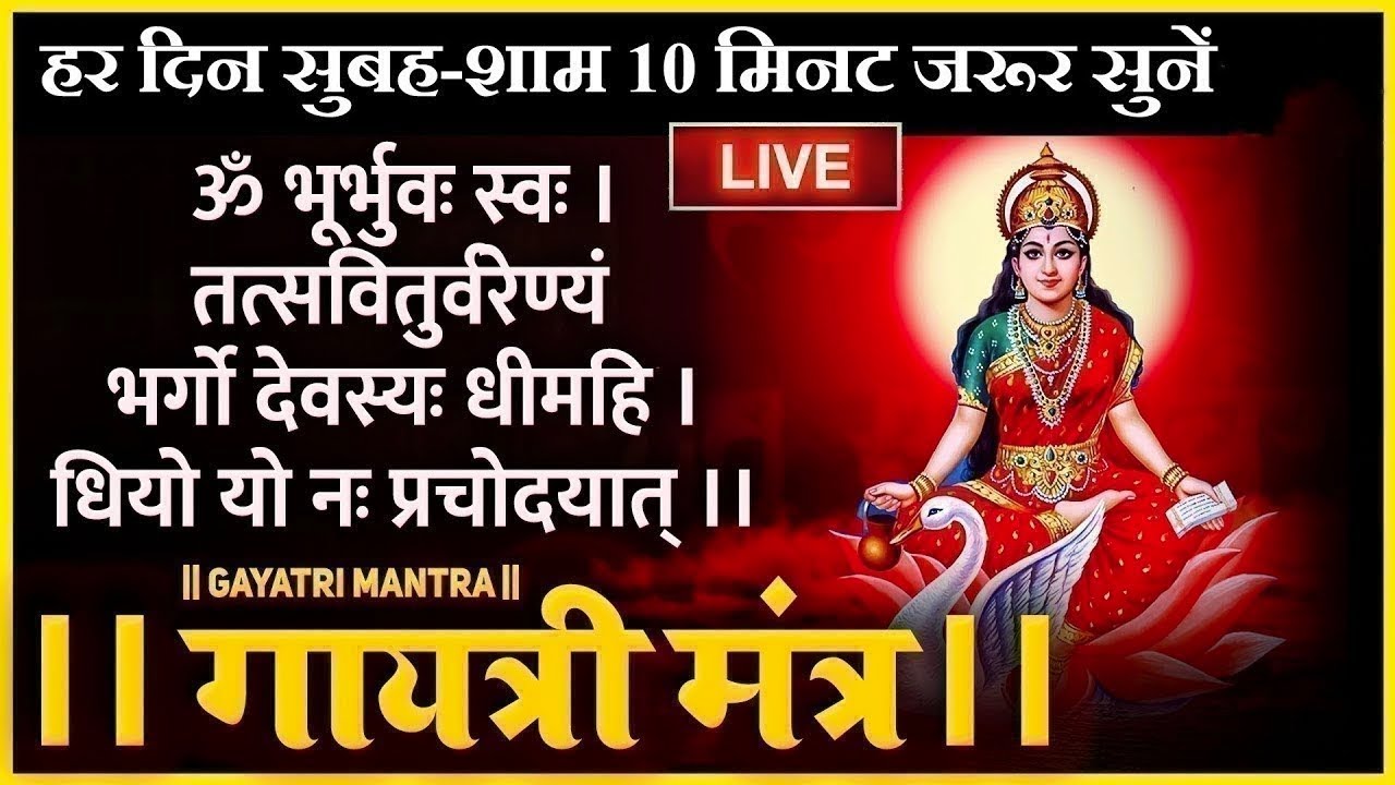 LIVE