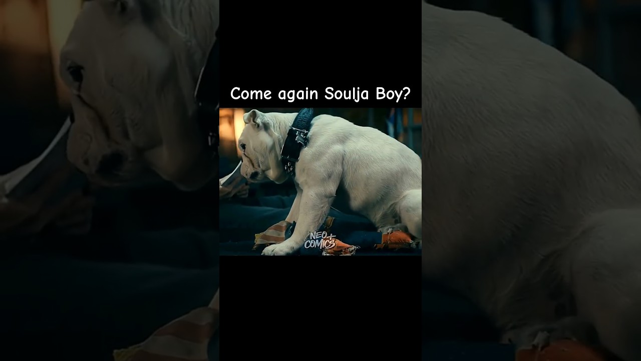 Name's TERROR for good reasons! #dog #theboys #soldierboy #butcher #funny #comedy #comicbooks #jokes