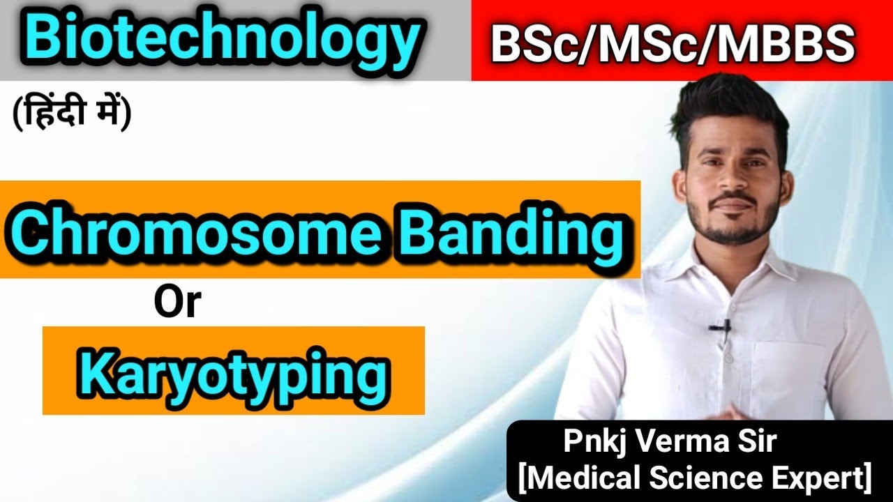 Chromosome Banding- Karyotyping - In Hindi