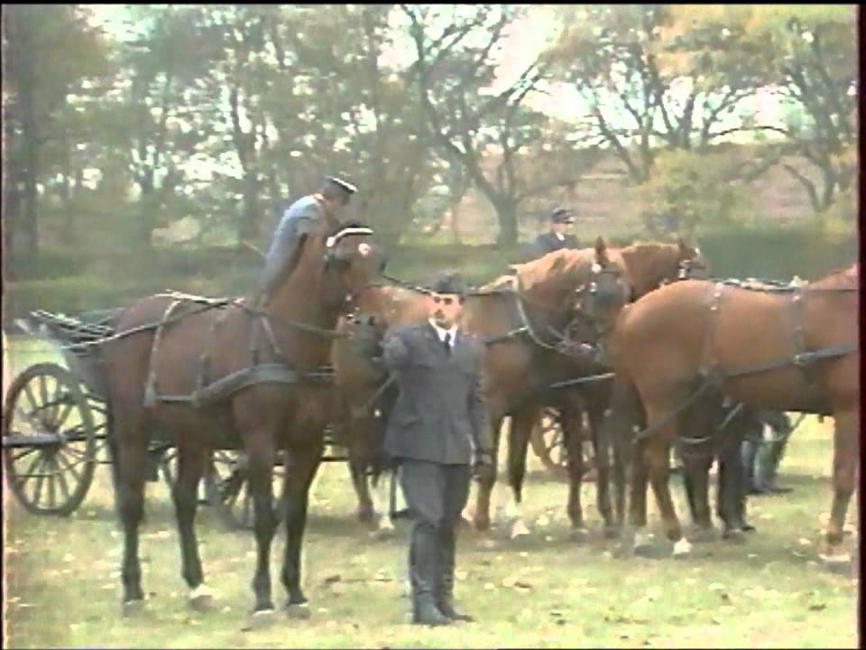 Parada zaprzęgów - PSO Bogusławice 1991 r.