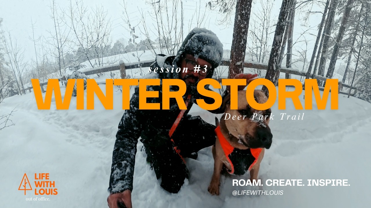 Let's walk: WINTER STORM, Alone during heavy snowfall with my furbaby Meatball |#3| OUT OF OFFICE