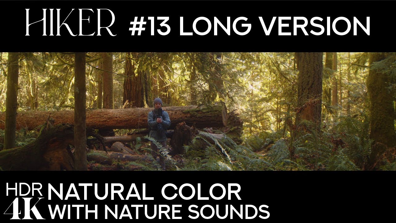 Silent Hike on May Valley Trail | Journey with Hiker #13 | Natural/Anamorphic 2x/Long + Real Sounds