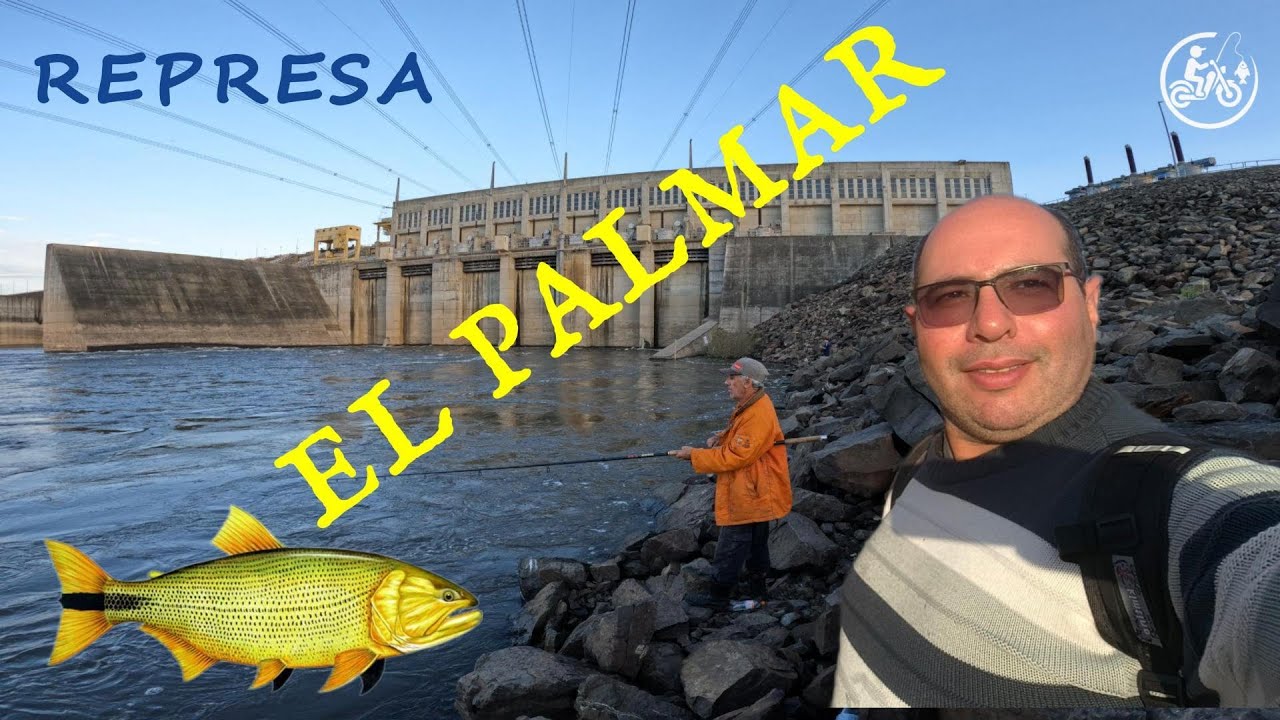 PALMAR 2025   EN BUSCA DE LOS  GRANDES DORADOS